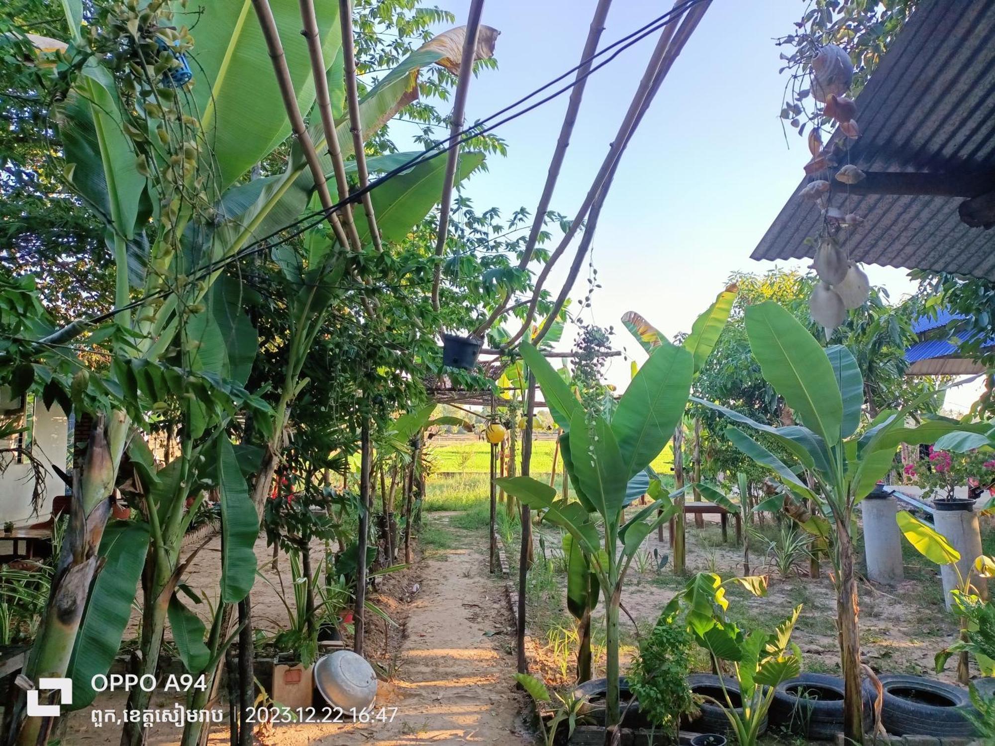 โฮมสเตย์ Phonluer Angkor Homestay, *