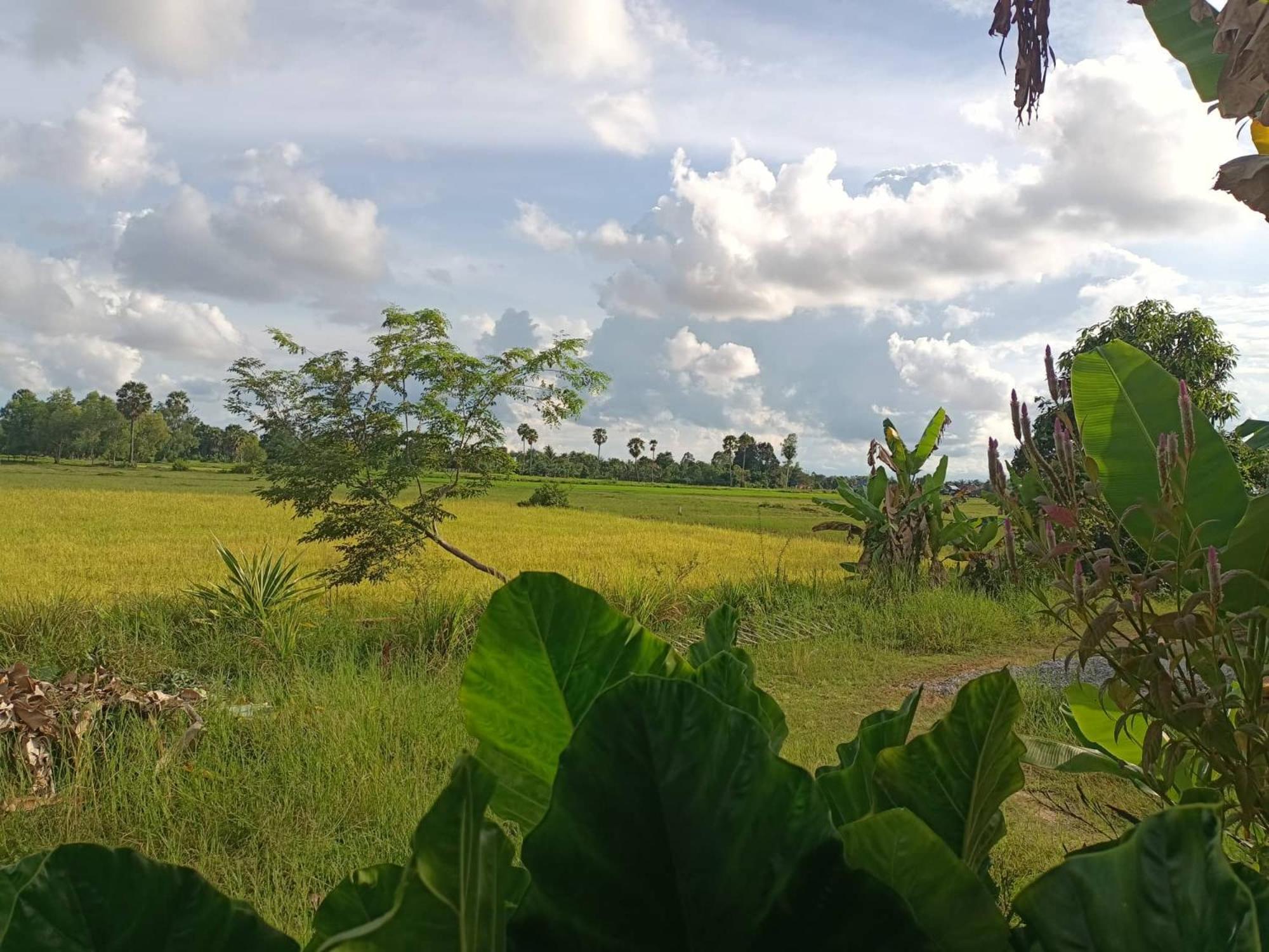 Phonluer Angkor Homestay, โฮมสเตย์