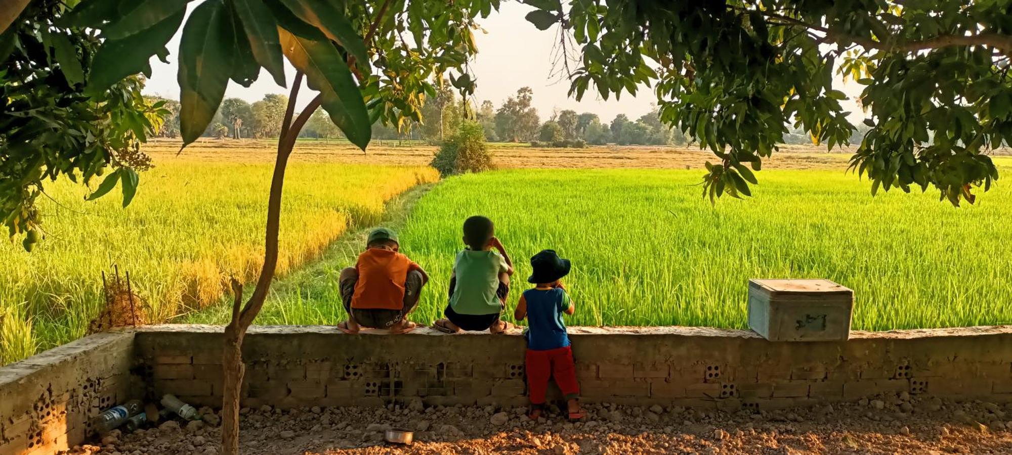 Phonluer Angkor Homestay, Privatunterkunft Siem Reap