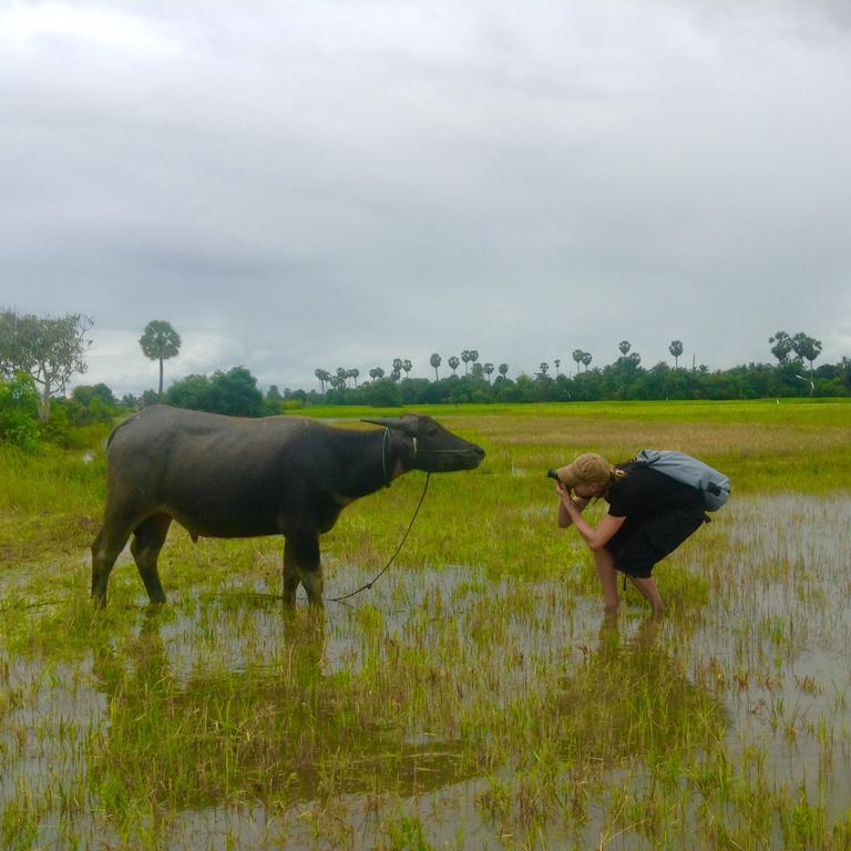 Phonluer Angkor Homestay,